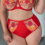 Трусы высокие Kris Line SWEETHEART Briefshighwaist 